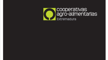 Memoria de actividades 2025