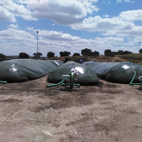 Complus comenzar esta primavera a elaborar y comercializar abono orgnico a partir de subproductos agrcolas