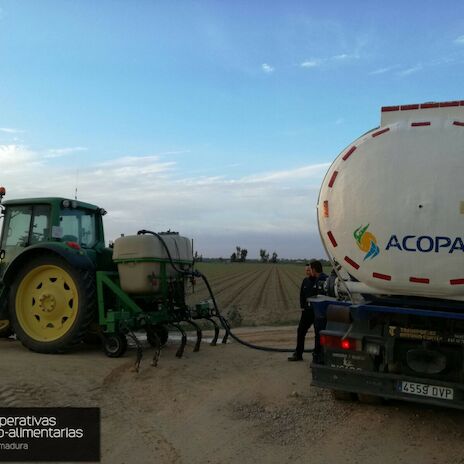 Plantas biocidas sostenibilidad del suelo y nuevas herramientas para cultivos centran las Jornadas Tcnicas de ACOPAEX