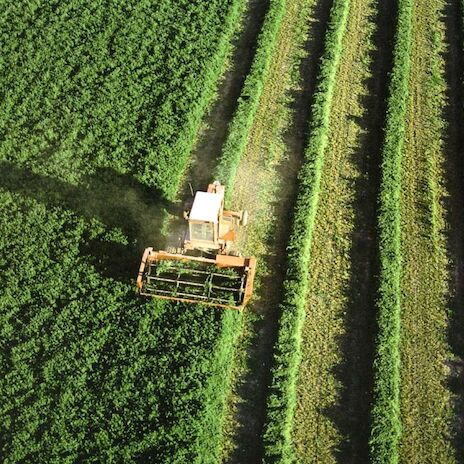  Agricultura empieza a pagar ms de 106 de la PAC en Extremadura