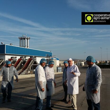 Cooperativas extremeas son referentes en industrializacin y tcnicas de produccin agrcola