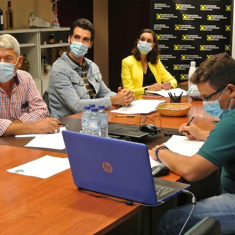 Cooperativas Extremadura plantea mejoras al seguro de tomate para industria para que cubra daos por altas temperaturas persistentes