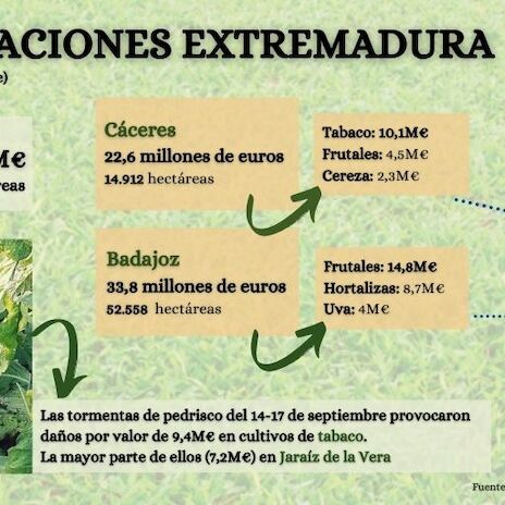 Agroseguro abona 182 millones de euros en indemnizaciones por siniestros producidos en Extremadura