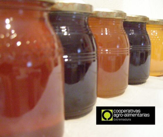 Cooperativas Agro-alimentarias, optimista con la propuesta del Parlamento Europeo para clarificar el origen de la miel