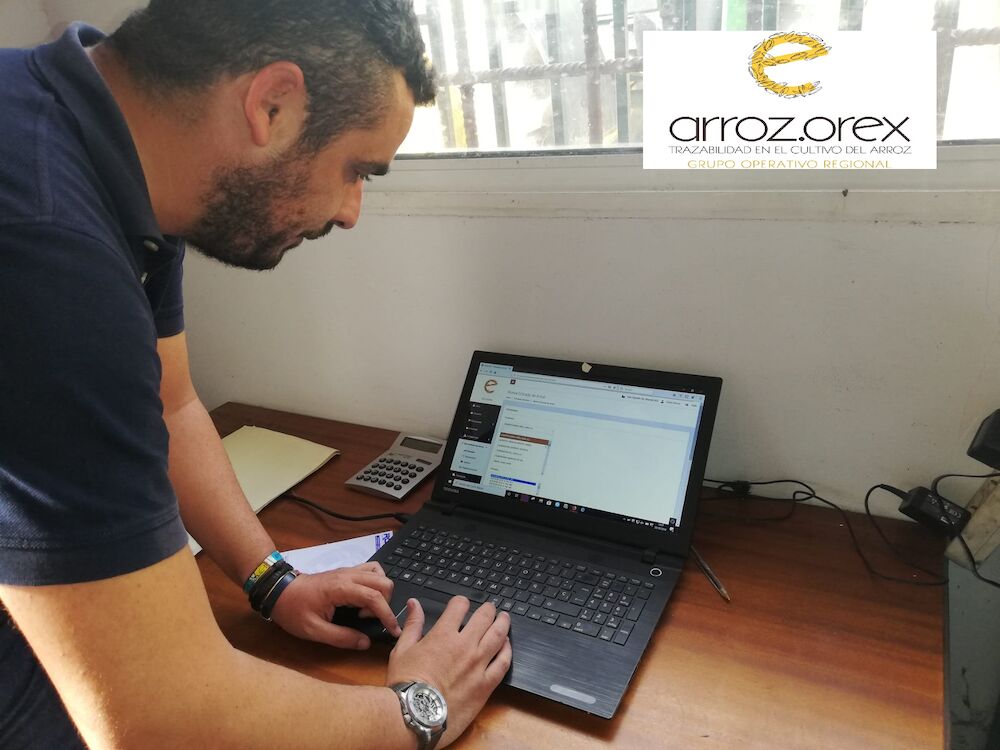 ArrozOrEx implanta su app para aumentar la trazabilidad e identificar el origen del arroz de la región