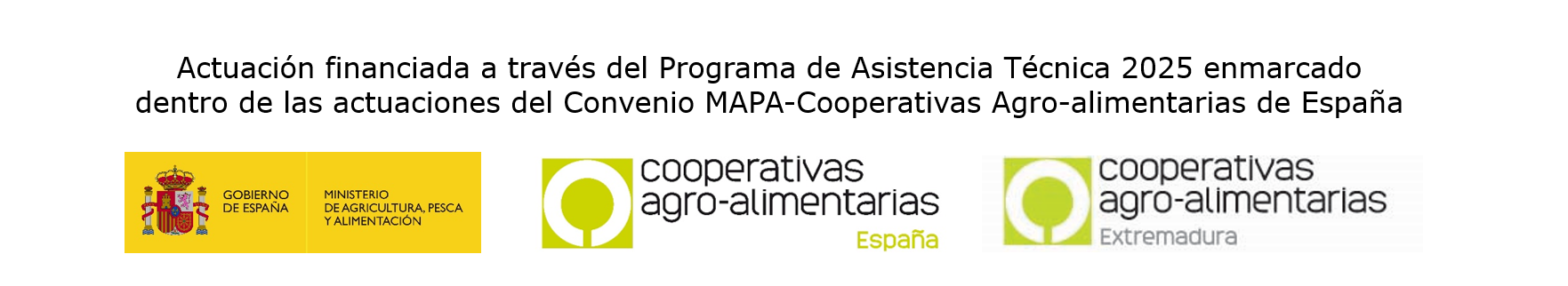 asistencia técnica 2025