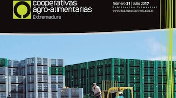 Revista n 31  Julio 2017