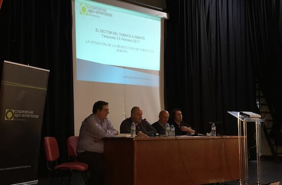 Las cooperativas plantean iniciar un plan de actuación para mantener la viabilidad y continuidad de las explotaciones tabaqueras extremeñas