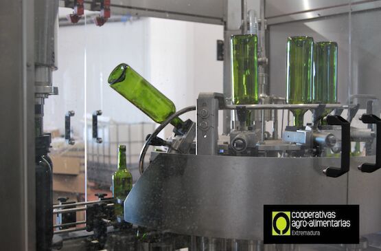 Las bodegas cooperativas se ponen al día en normativa