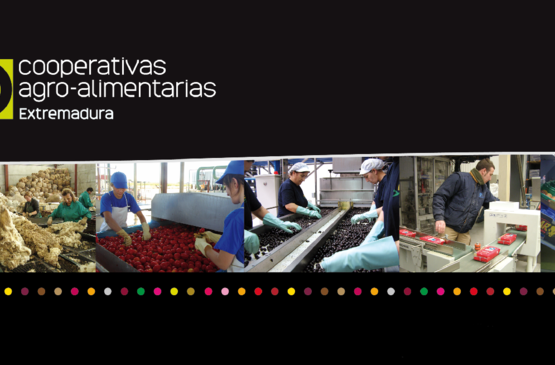 Cooperativas Extremadura apoya las peticiones de igualdad del Día de la Mujer
