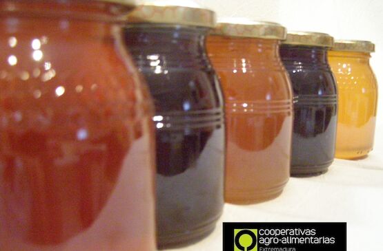 Cooperativas Agro-alimentarias, optimista con la propuesta del Parlamento Europeo para clarificar el origen de la miel