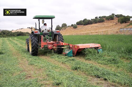 VALORARES impulsa la economía circular de Extremadura mejorará comienza a producir abono orgánico líquido para proteger los cultivos extremeños de plagas