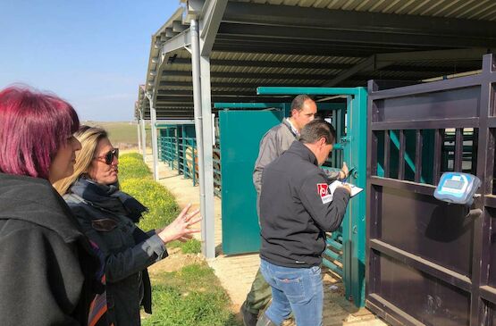 García Bernal destaca el papel de Bovies para impulsar la ganadería en Extremadura