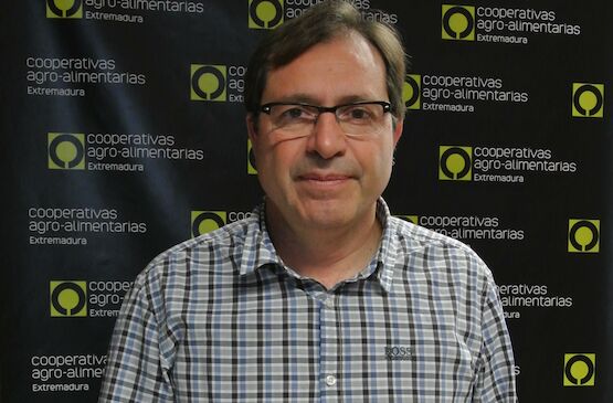 “El sector debe empezar a trabajar en una diferenciación al aceite de oliva proveniente del cultivo tradicional”