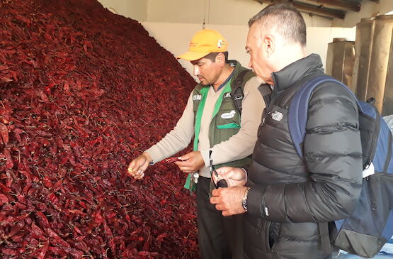 La experiencia de unirse a la misión de Acodea y cultivar el futuro