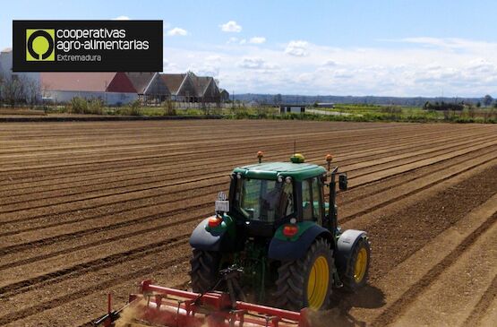 Cooperativas y sosteniblidad ambiental