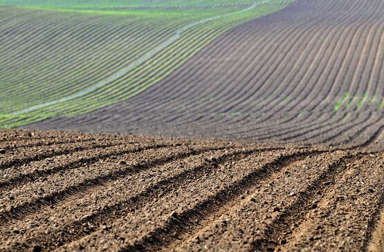 Cooperativas Extremadura muestra su satisfacción por la inclusión de La Vera como región productora en el Plan Estratégico Nacional de la PAC