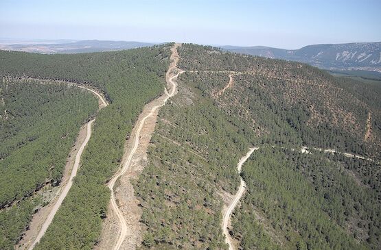 Declarada la época de peligro bajo de incendios forestales en Extremadura