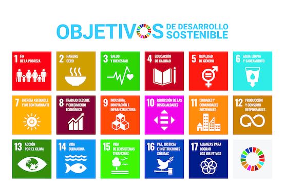 ¿Cuáles son los ODS?
