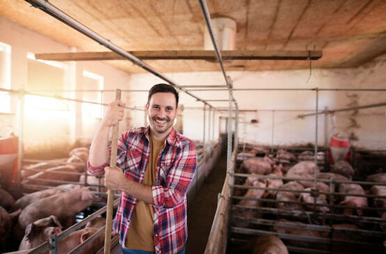 Ibergenética formará a especialistas en producción porcina ante la alta demanda laboral existente en el sector