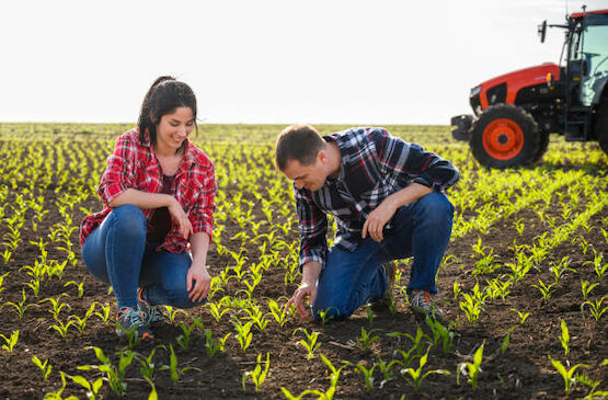 ODS 16: el modelo cooperativo agroalimentario extremeño es democrático e igualitario