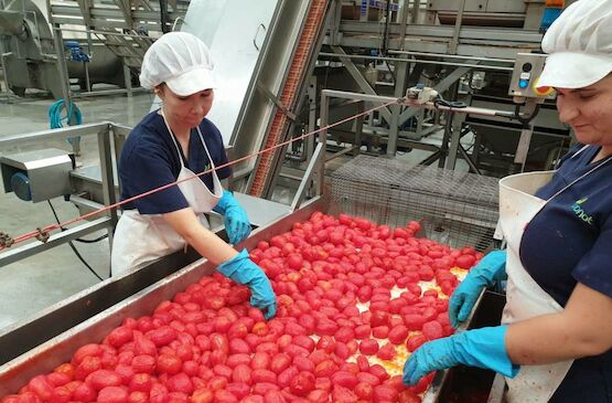 Las cooperativas agroalimentarias representan el 90% del empleo generado en las empresas de economía social de Extremadura