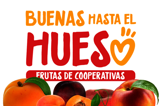 La iniciativa 'Buenas hasta el Hueso' anima a disfrutar de la fruta de hueso de cooperativas