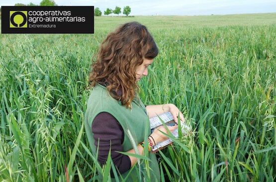 En marcha un plan para impulsar la participación activa de mujeres en órganos de gestión de cooperativas agroalimentarias de Extremadura