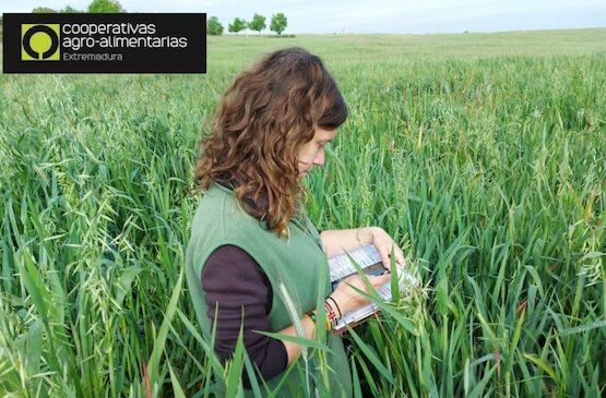 El 11% de la base social de las cooperativas asociadas a Cooperativas Extremadura son jóvenes