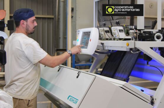 Las cooperativas extremeñas avanzan hacia la transformación digital en la industria 4.0
