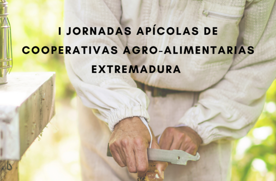 Sostenibilidad y biodiversidad, a debate en las I Jornadas Apícolas de Cooperativas Agro-alimentarias Extremadura 