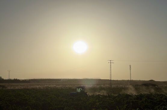 El campo extremeño gana fuerza con el innovador proyecto de ahorro energético del grupo cooperativo Viñaoliva