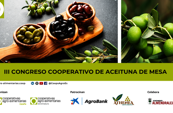 Cooperativas Extremadura, anfitriona del III Congreso Cooperativo de Aceituna de Mesa