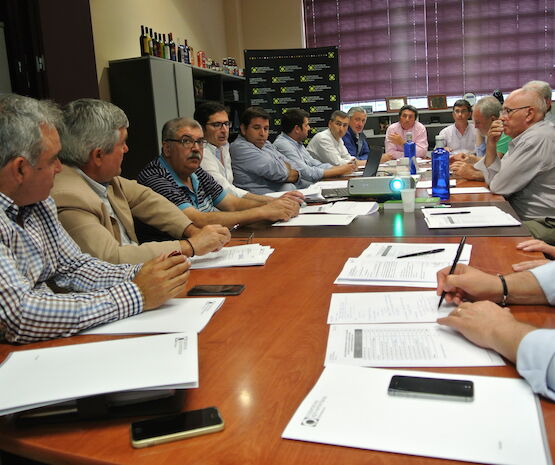 Cooperativas elige a sus presidentes sectoriales de aceite de oliva y aceituna de mesa