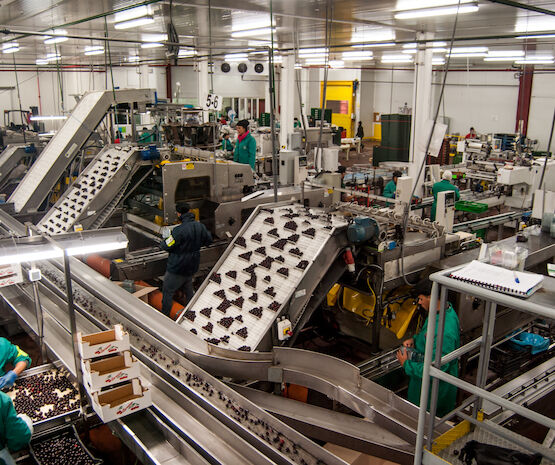 Agrupación de Cooperativas Valle del Jerte, mucho más que cerezas