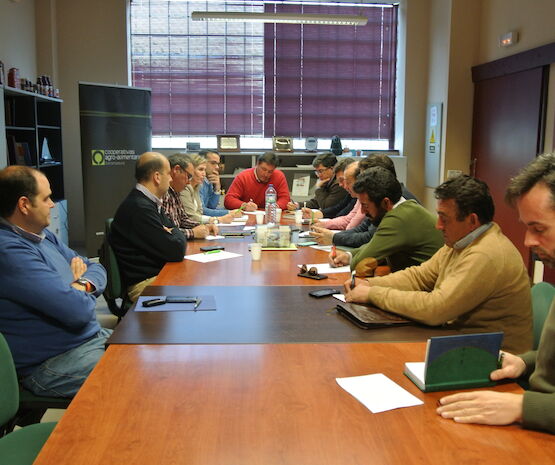 Cooperativas Agro-alimentarias Extremadura inicia un plan para crear grandes estructuras cooperativas de vacuno