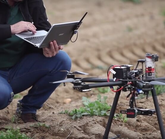 Investigadores llevarán las tecnologías de Big Data al sector hortofrutícola