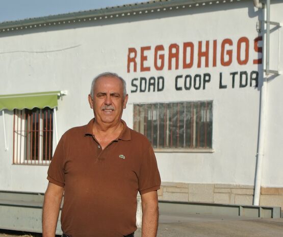 “Tenemos que ser más competitivos, porque la higuera tiene un gran futuro a medio plazo”
