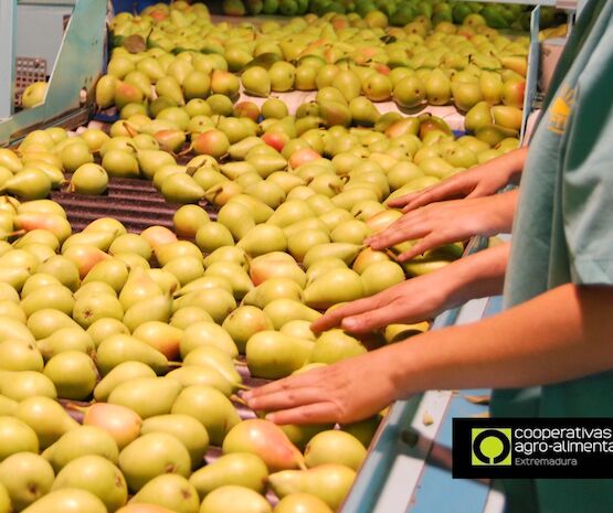 Cooperativas Extremadura impulsa la economía verde y circular en Extremadura