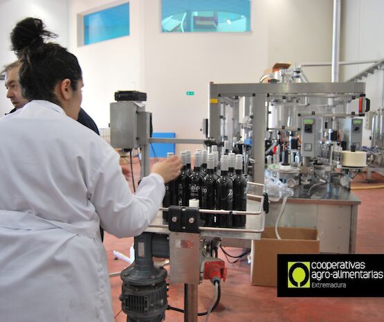 Cinco cooperativas agroalimentarias extremeñas, entre las cien con mejores resultados de facturación del país