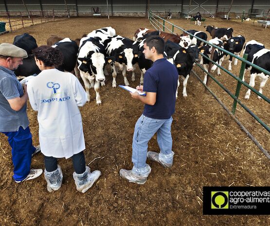 Con la leche al cuello