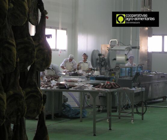 Cooperativas Extremadura alerta de la preocupación del sector industrial ante la incertidumbre de la convocatoria de incentivos agroindustriales
