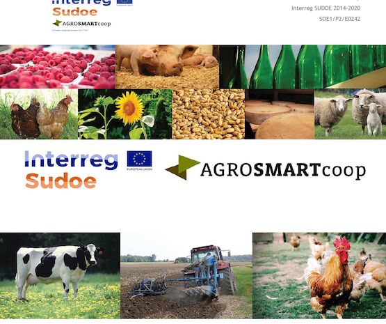 Cooperativas Extremadura aborda en unas jornadas la utilización y uso del agua de almazaras