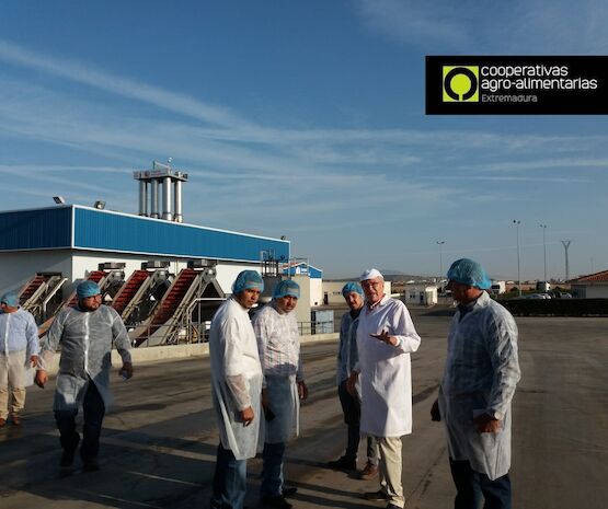 Cooperativas extremeñas son referentes en industrialización y técnicas de producción agrícola