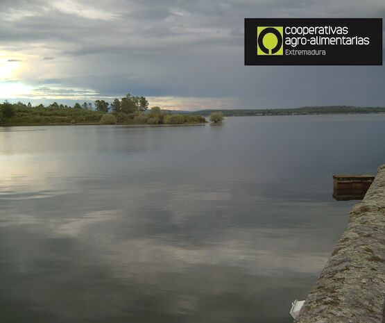 ODS 6: Cooperativas Extremadura crea balsas de acumulación de agua para cultivos permanentes