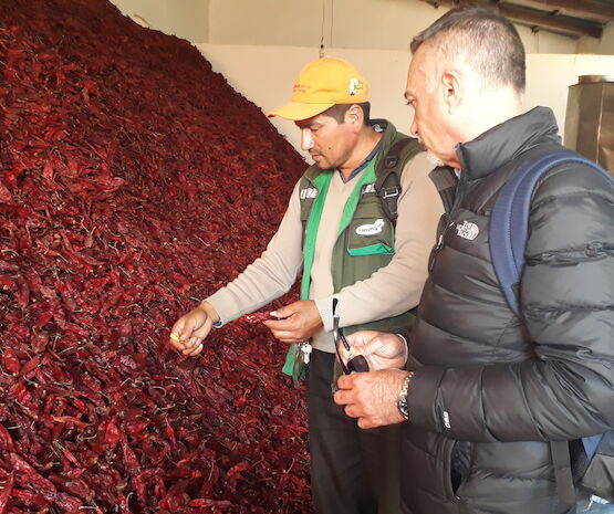 La experiencia de unirse a la misión de Acodea y cultivar el futuro