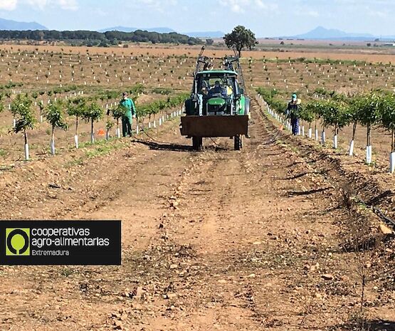 Agricultores extremeños reciclan 281 toneladas de envases y ahorran así la emisión de casi 400 toneladas de Co2 en la región