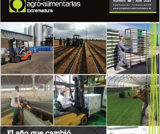 Disponible el último número de la revista Cooperativas Agro-alimentarias Extremadura