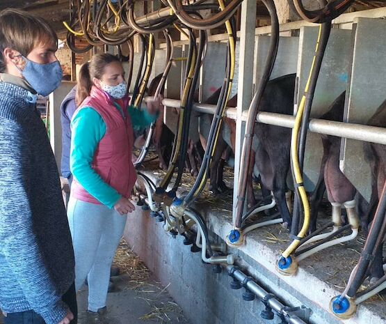Cooperativistas extremeños impulsan el relevo generacional agrario a través del Programa CULTIVA