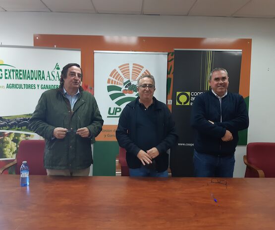 Asamblea de tabaqueros extremeños para reivindicar precios justos